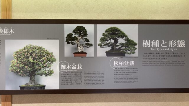 Omiya Bonsai Art Museum