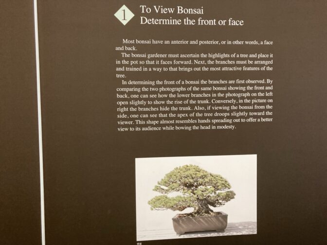 Omiya Bonsai Art Museum