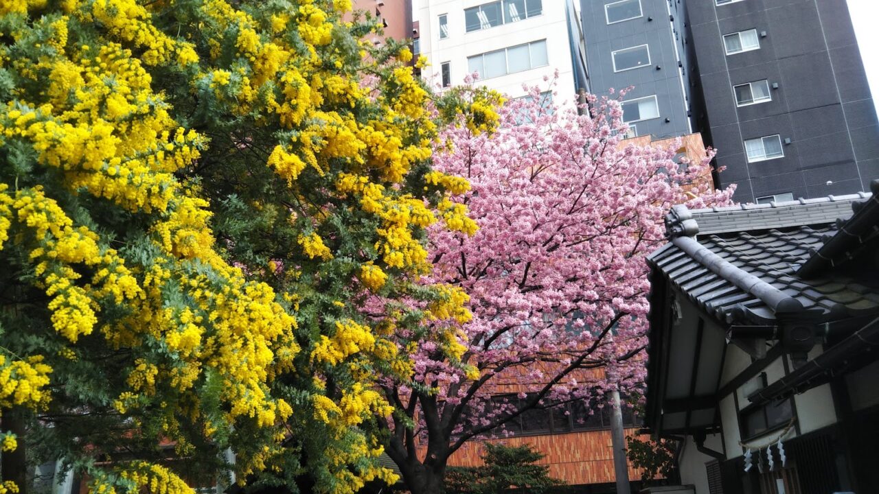 蔵前神社