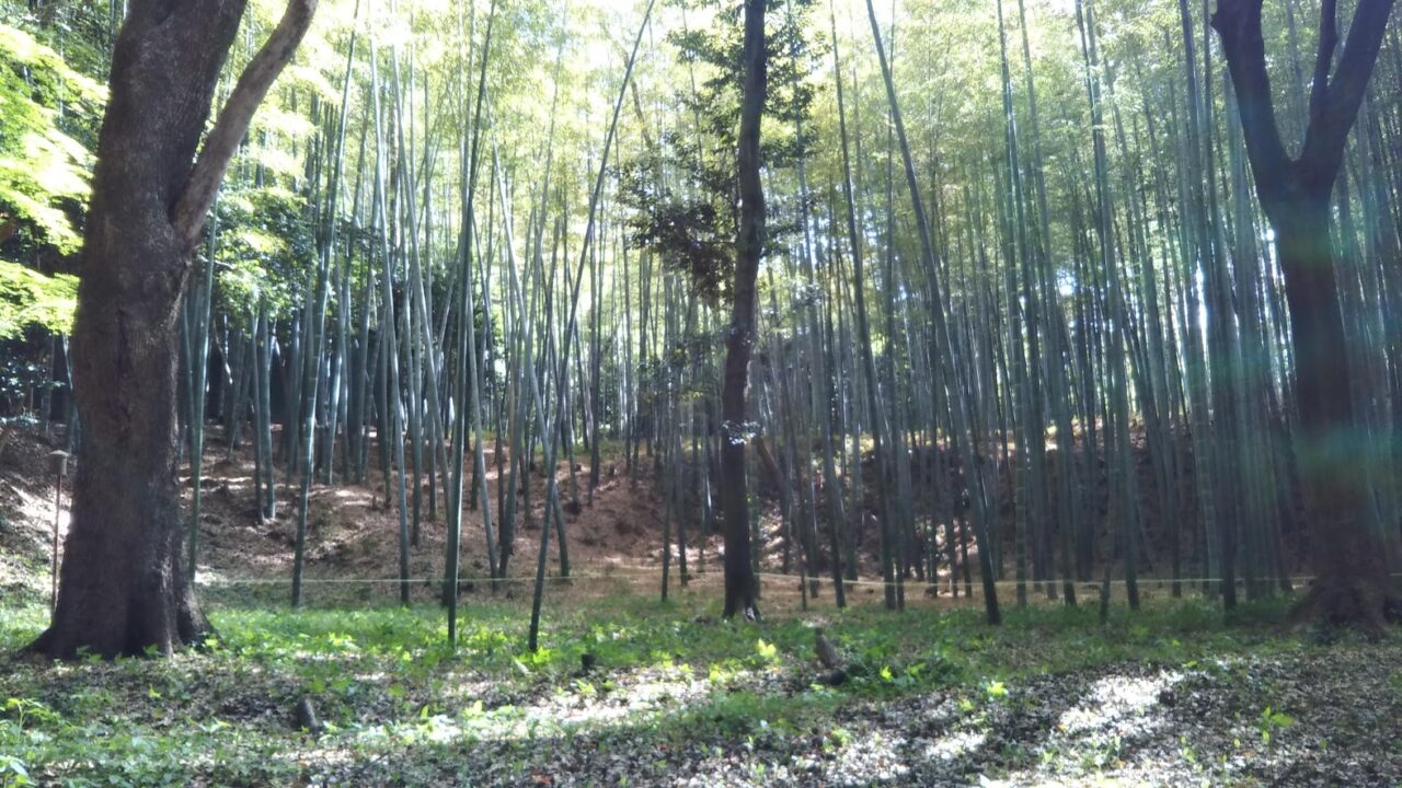 石清水八幡宮