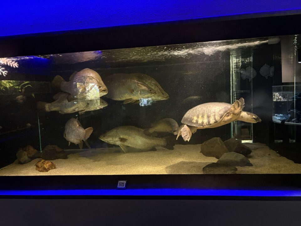 川崎水族館