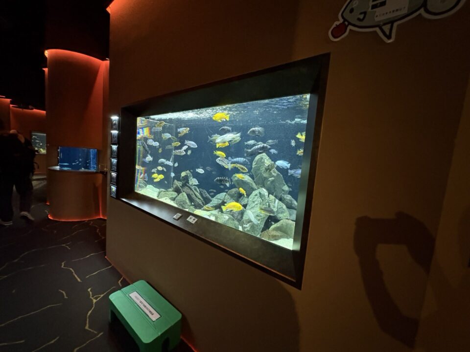川崎水族館