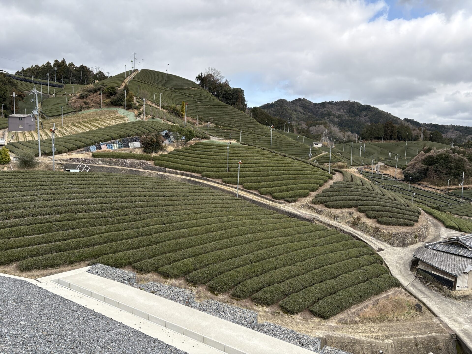 和束町