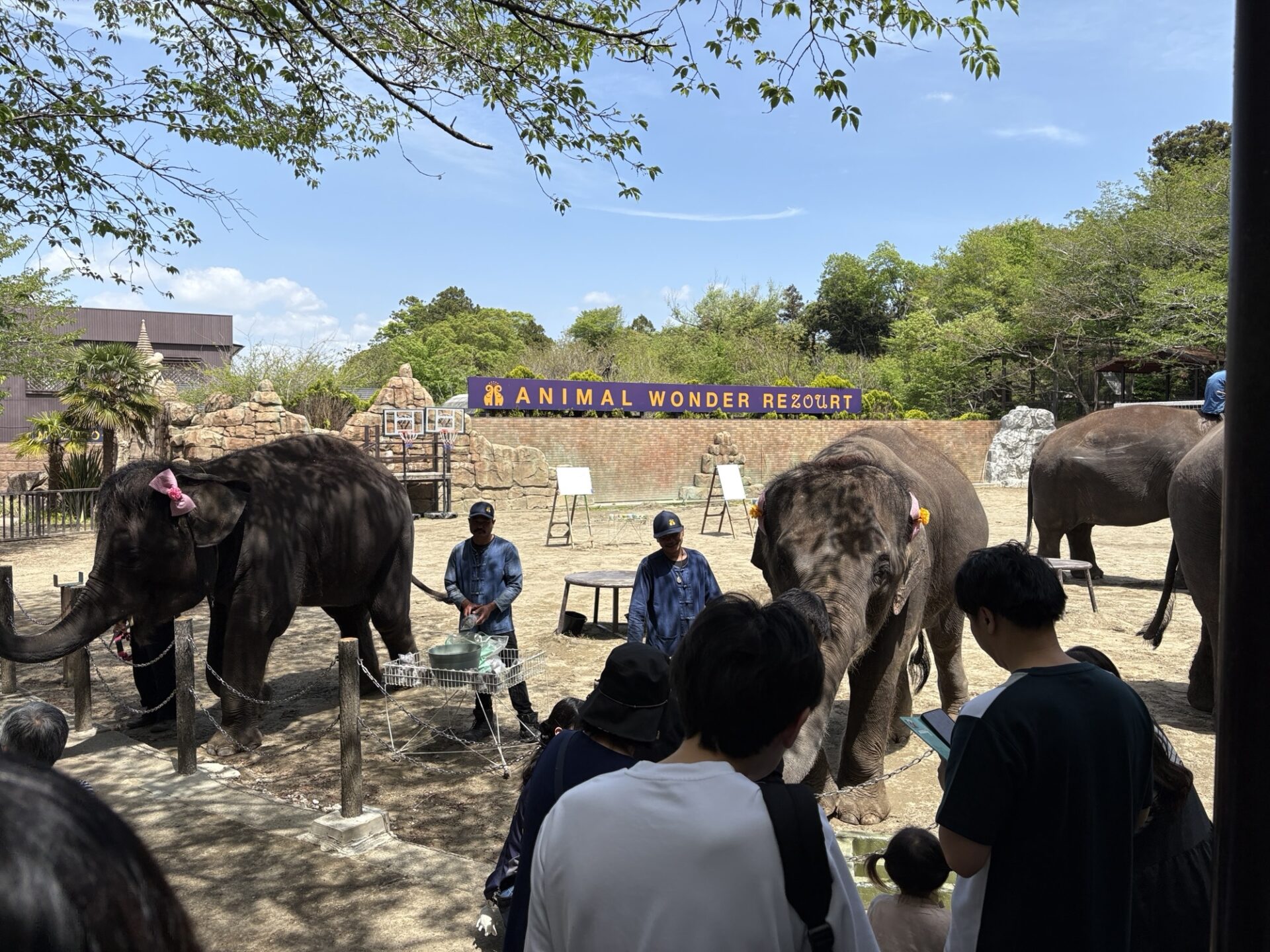 市原ぞうの国