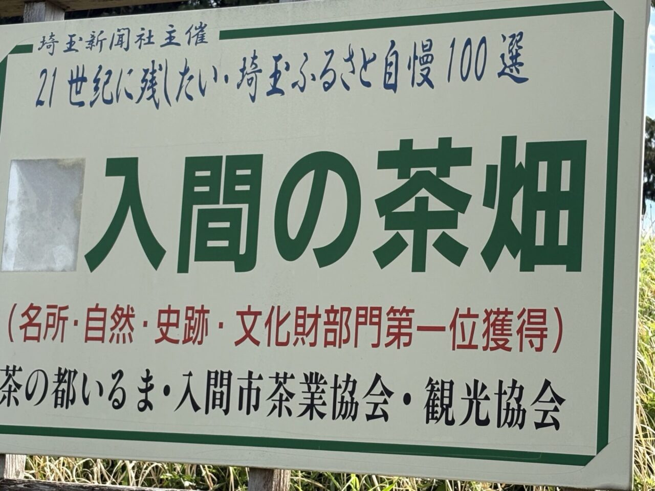 入間の茶畑