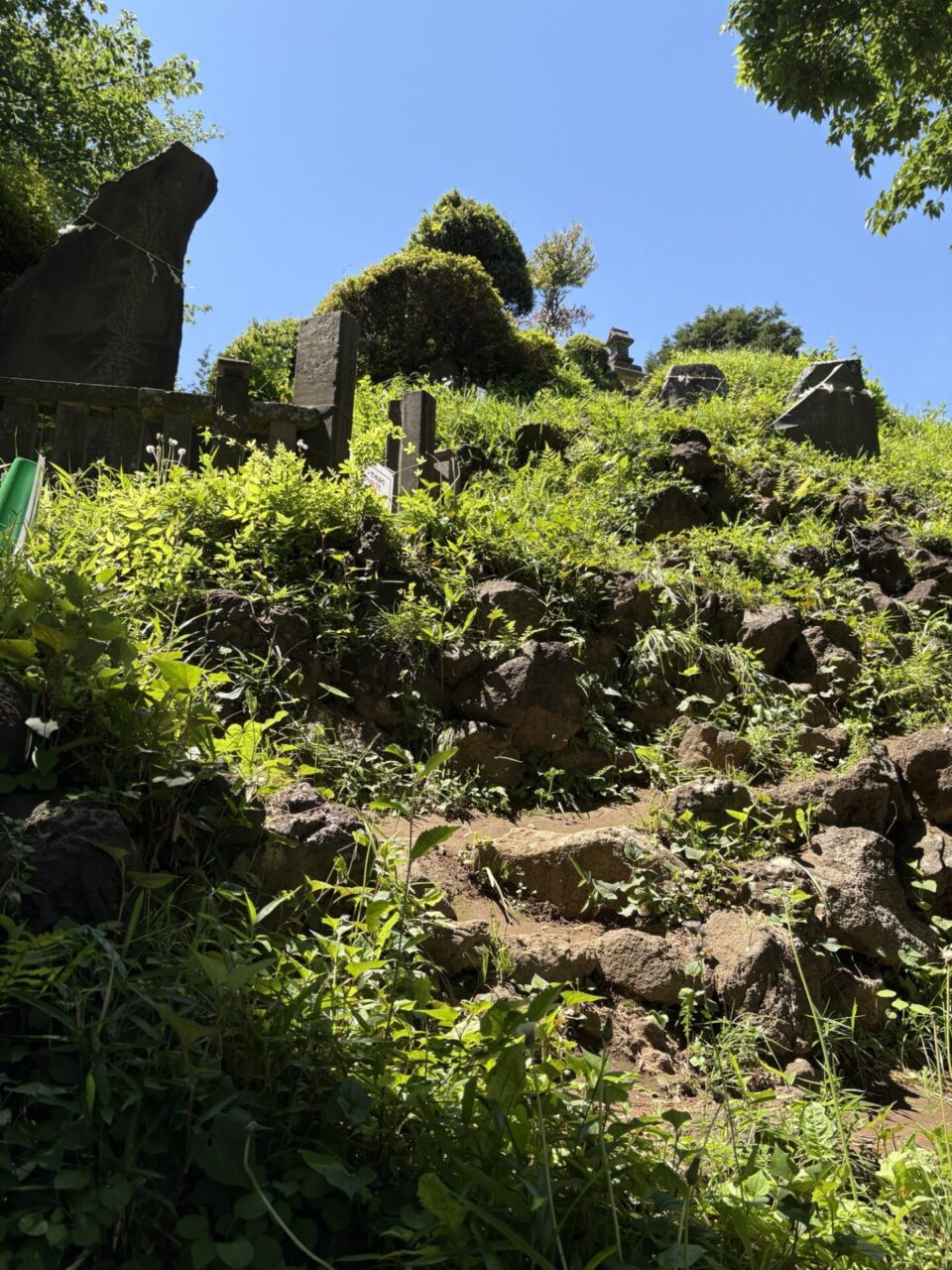 田子山富士塚