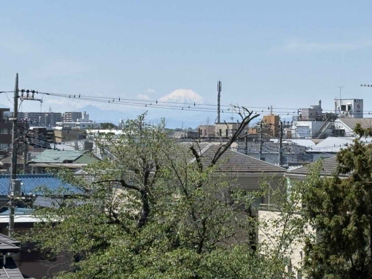 田子山富士塚
