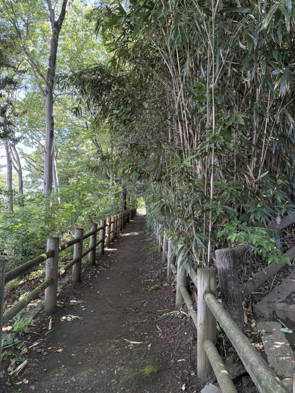 田子山富士塚
