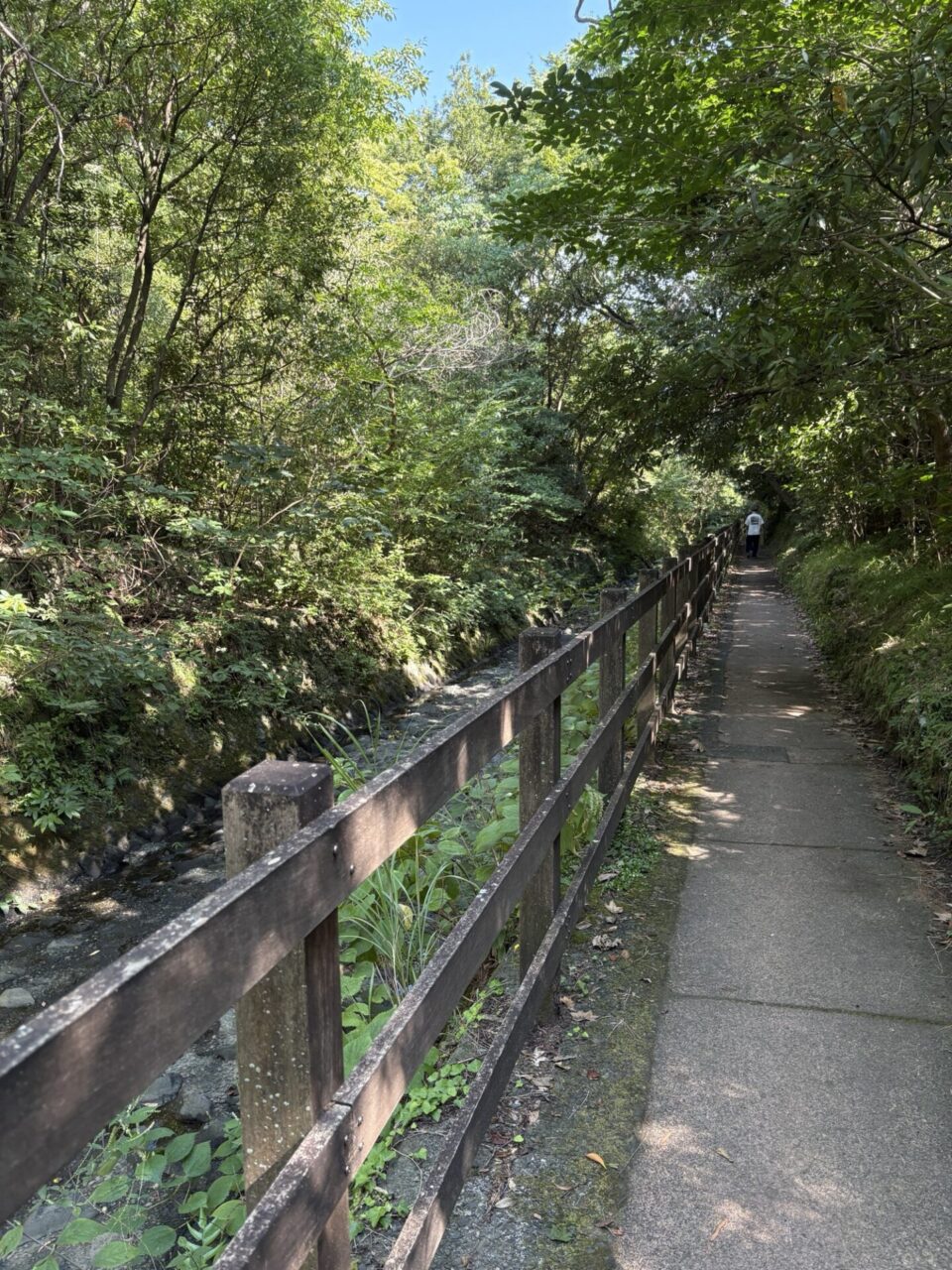 城ヶ島