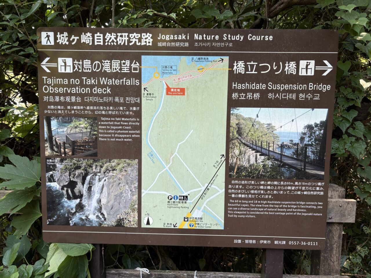 城ヶ島